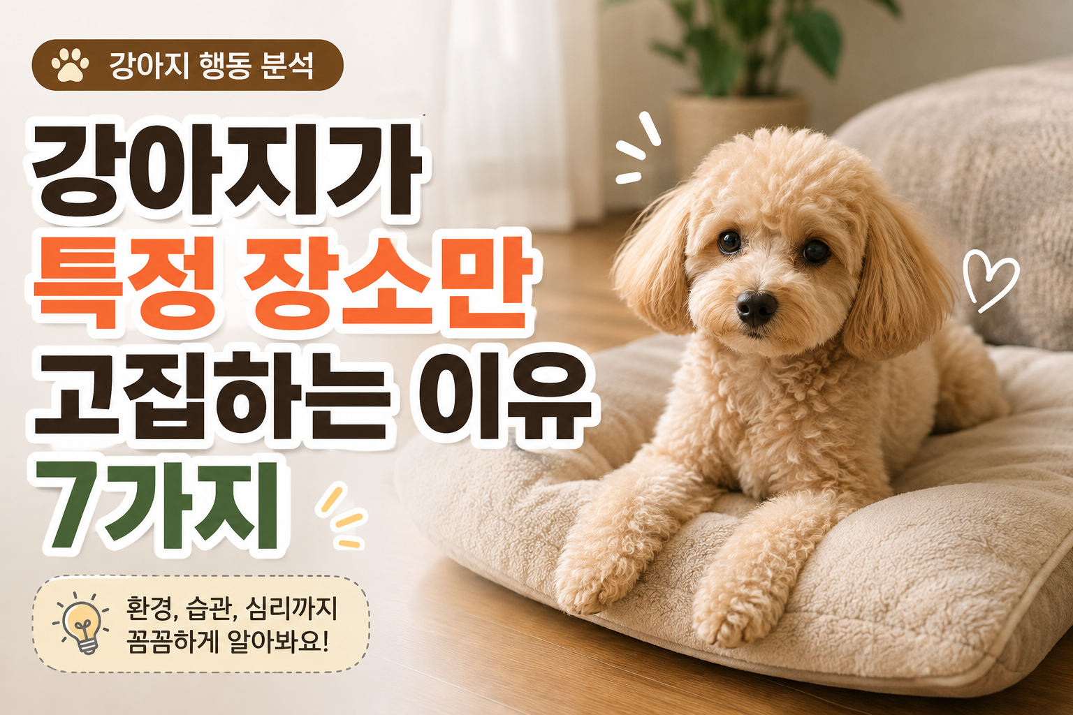 강아지 심리 썸네일