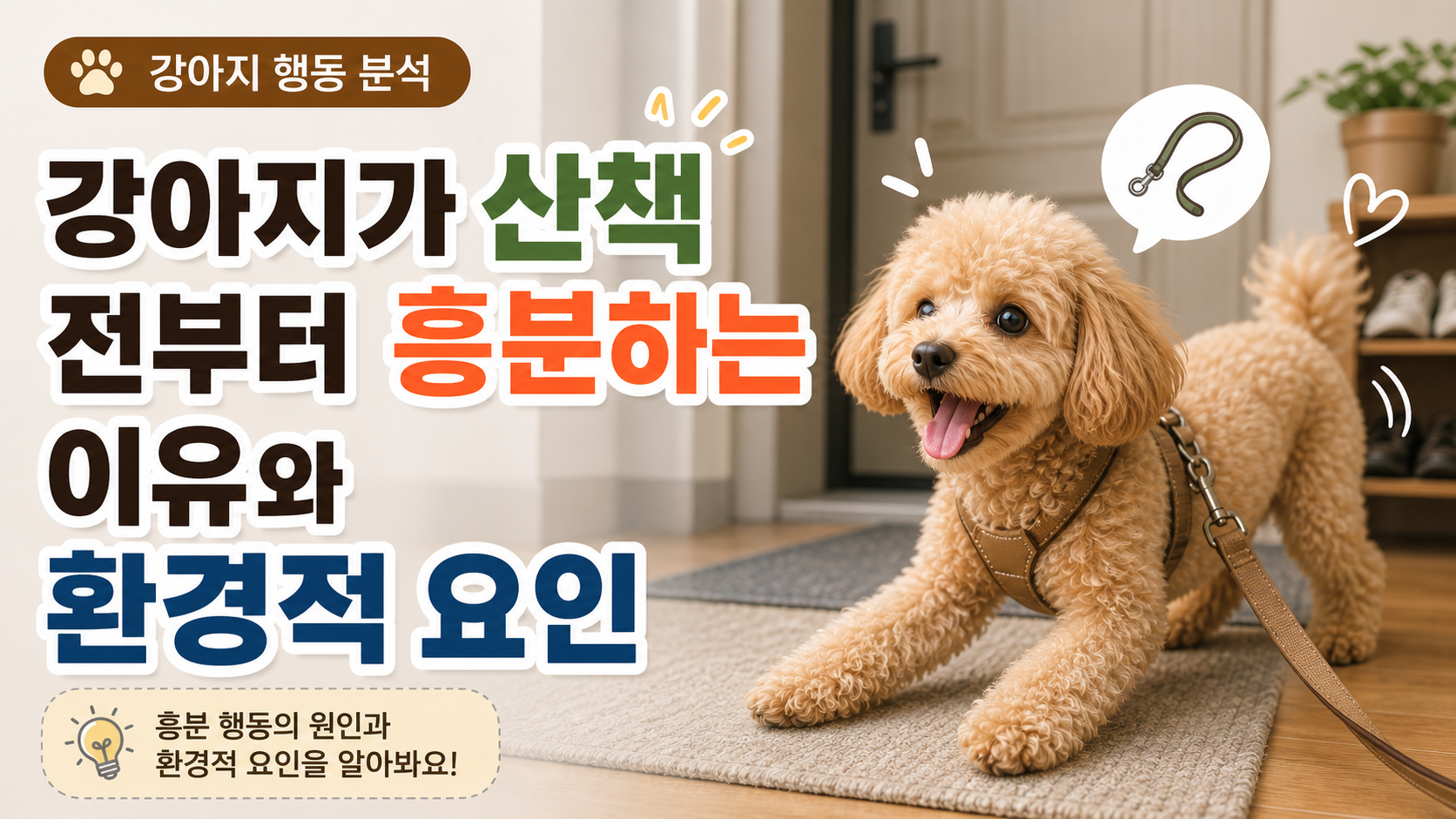 강아지 산책 흥분 썸네일