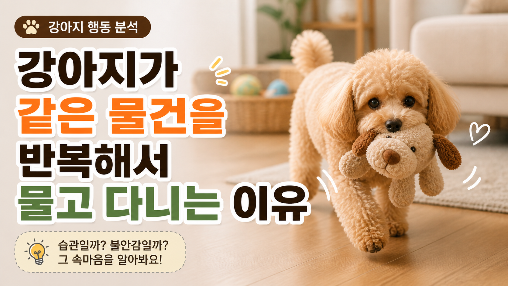 강아지 물건 물어오는 썸네일