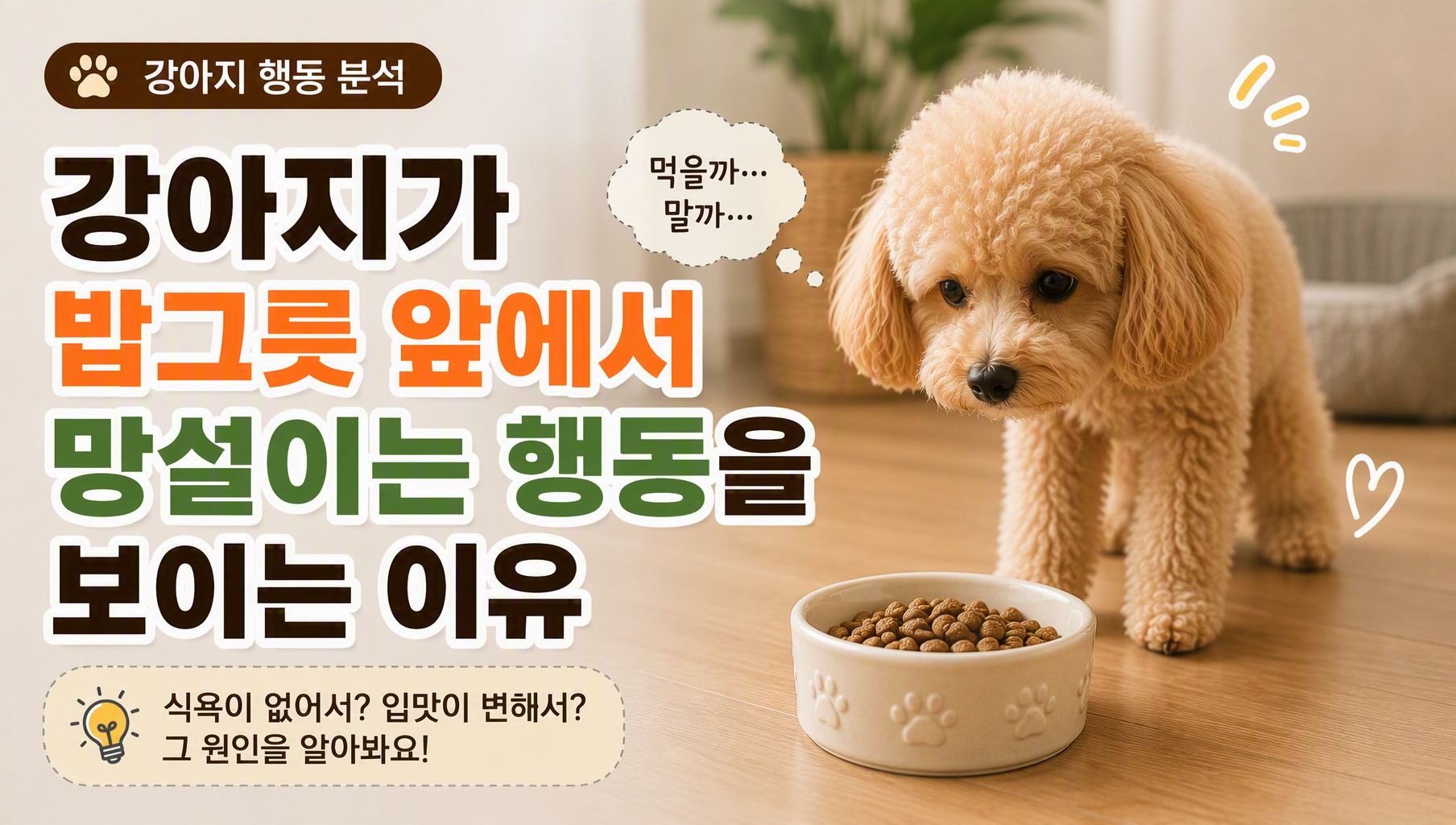 강아지 밥그릇 썸네일
