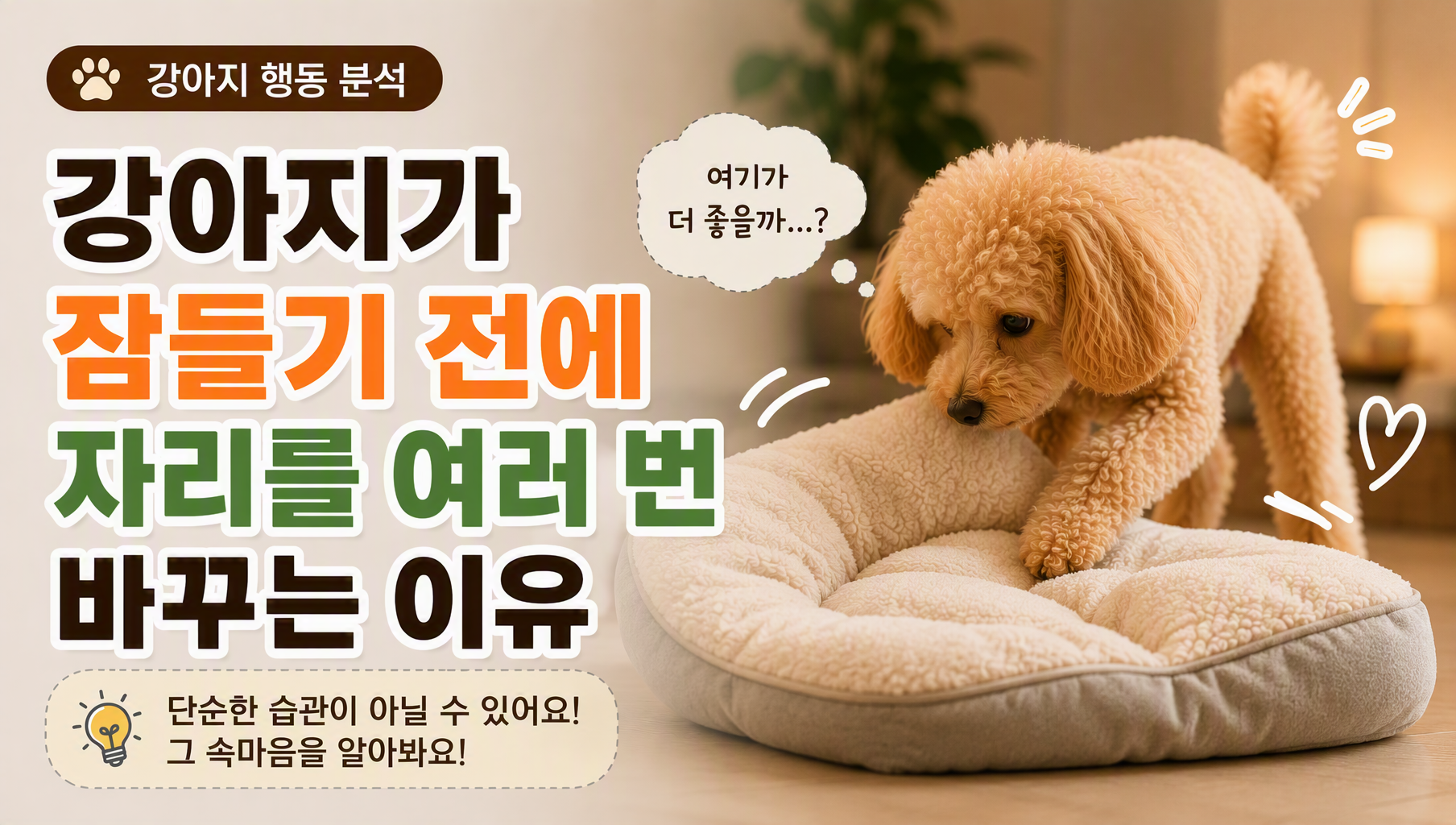 강아지 자기전 썸네일