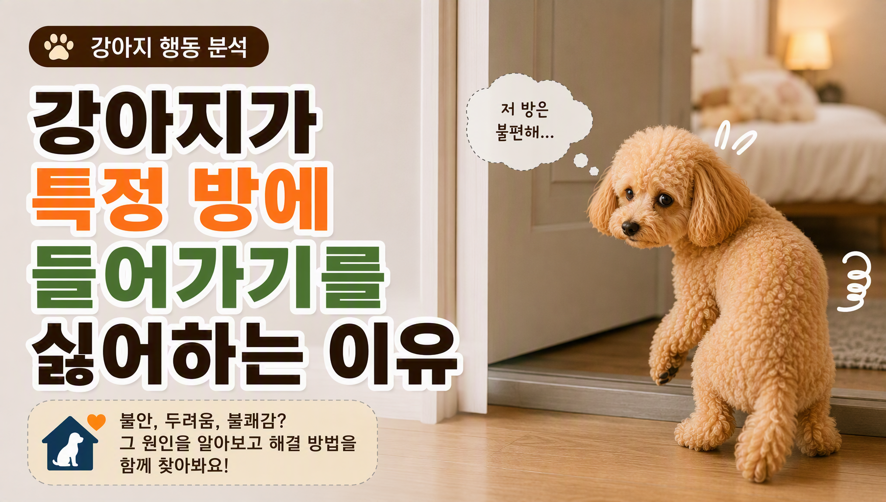 강아지 특정방 썸네일