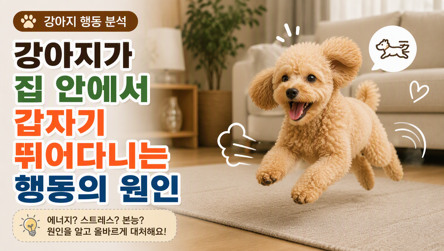 강아지 뛰는 썸네일