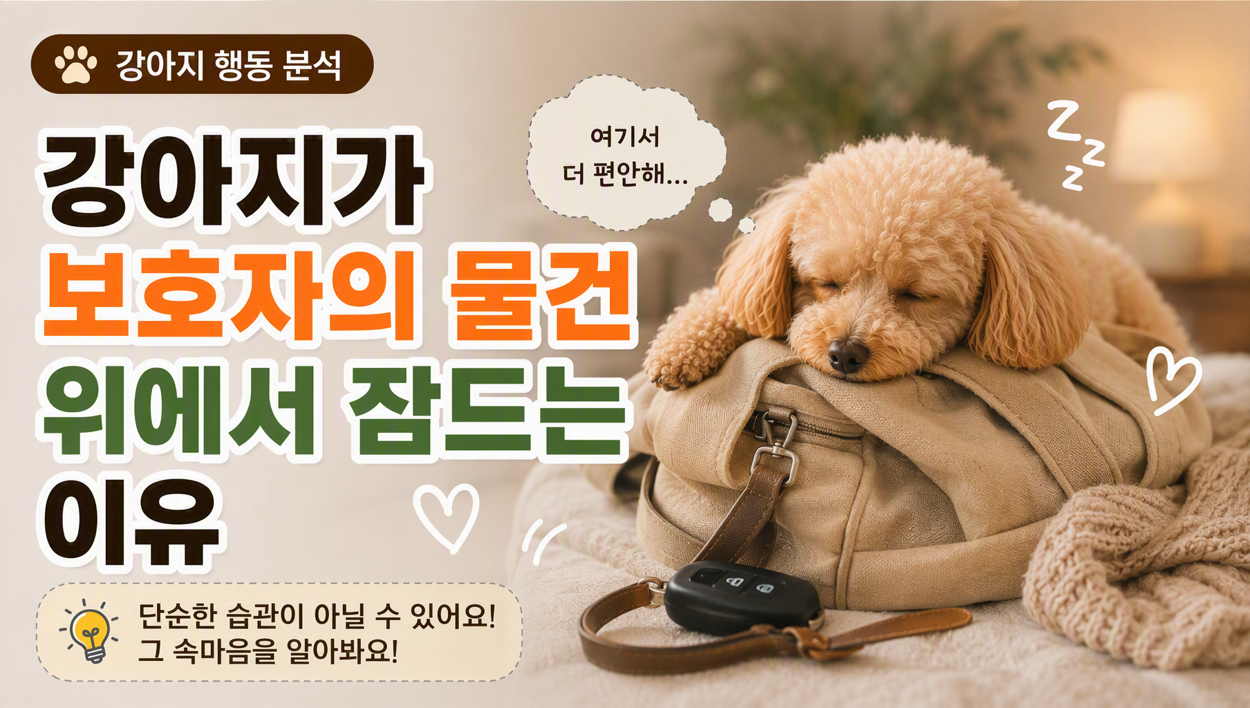 강아지 잠드는 썸네일